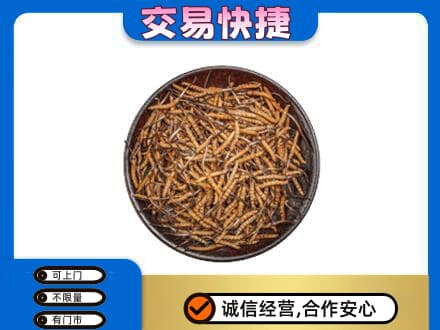 天水回收散虫草